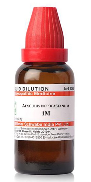 Anacardium Orientale